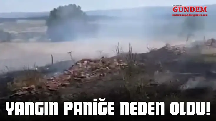 Yangın Paniğe Neden Oldu!