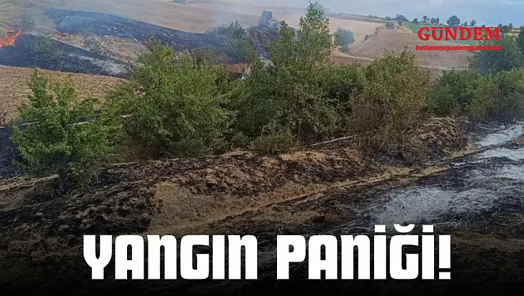 Yangın Paniği!