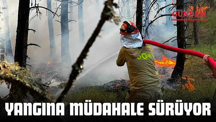 Yangına Müdahale Sürüyor