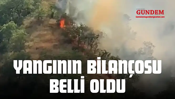 Yangının Bilançosu Belli Oldu