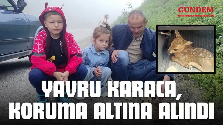 Yaralı Halde Bulunan Yavru Karaca, Koruma Altına Alındı