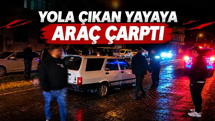 Yola Çıkan Yayaya Araç Çarptı