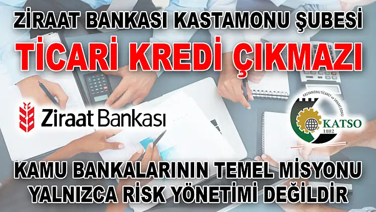 Ziraat Bankası Kastamonu Şubesi Ticari Kredi Çıkmazı Kamu Bankalarının Temel Misyonu Yalnızca Risk Yönetimi Değildir