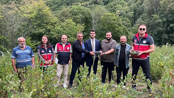 Aronya Üretimi İncelendi