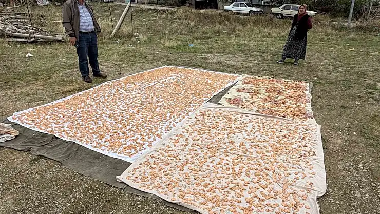 Boyabat'ta kış hazırlıkları başladı: Tarhana mesaisi