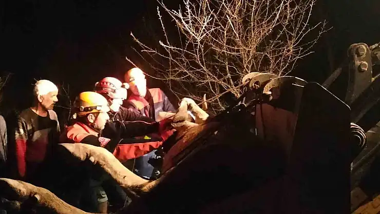 Dere Yatağına Düşerek Mahsur Kalan İnek Kurtarıldı