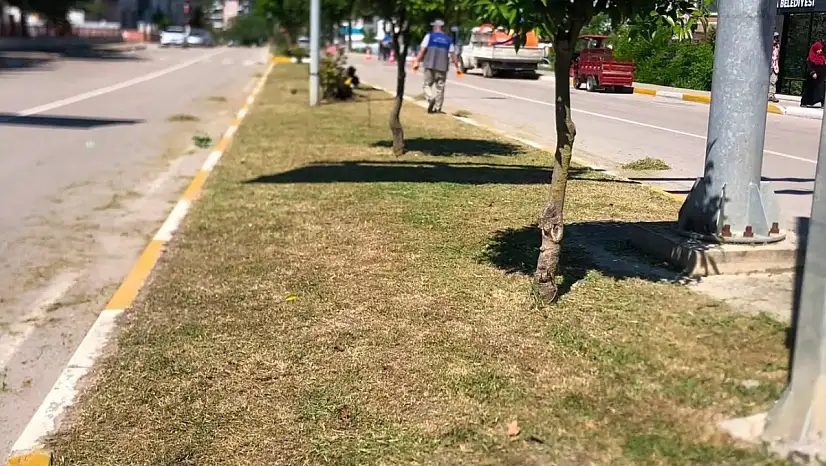 Abana'da Çim Biçme Çalışmaları Sürüyor