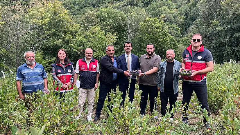 Aronya Üretimi İncelendi