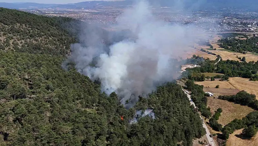 Bolu'daki orman yangını kontrol altına alındı