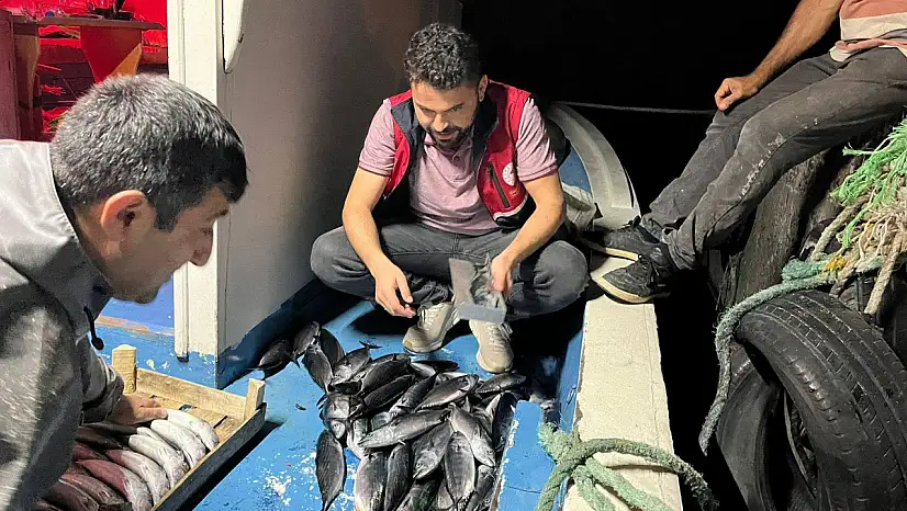 Çatalzeytin'de Gece Denetimleri Gerçekleştirildi