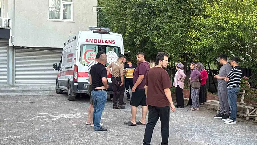 Dut toplarken ağaçtan düşüp yaralandı