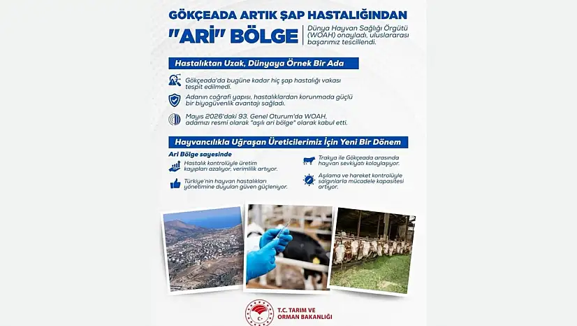 Gökçeada 'Aşılı Ari Bölge' Olarak Tescillendi
