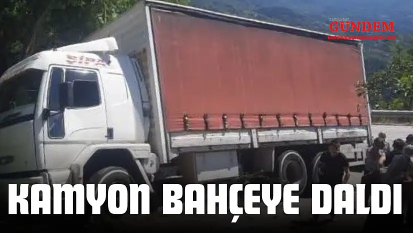 Kamyon Bahçeye Daldı