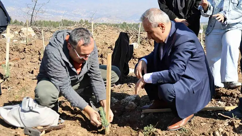 Karabük'te 250 fidan toprakla buluştu
