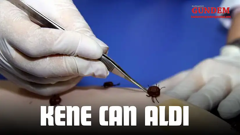 Kene Can Aldı