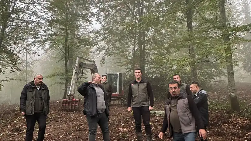 O İlçelerde Kayın Ormanları Gençleştirilecek