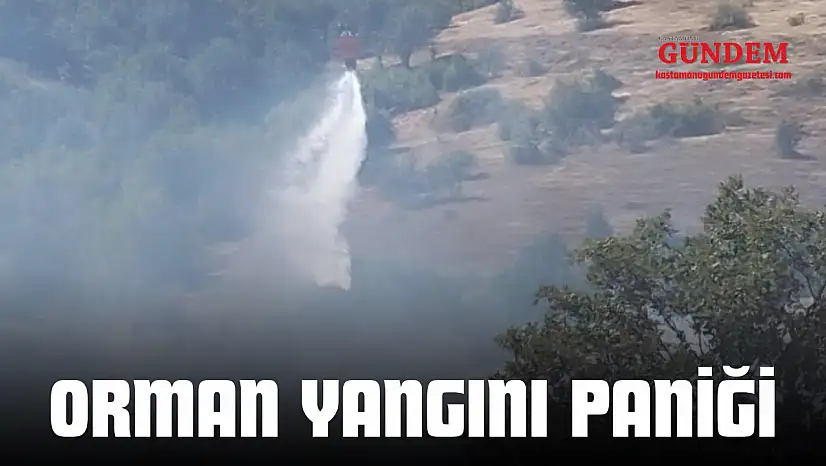 Orman Yangını Paniği