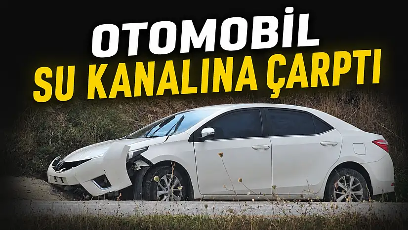 Otomobil Su Kanalına Çarptı