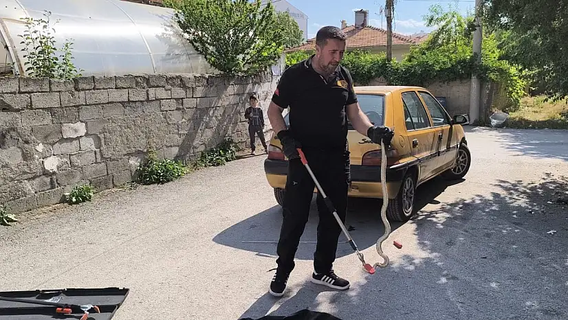 Otomobilin altına giren yılan itfaiye ekiplerince çıkarıldı