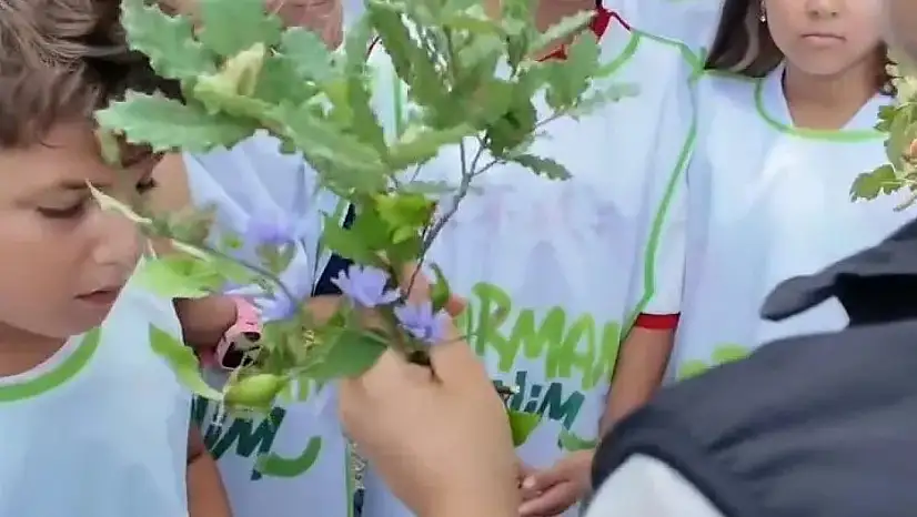Sinop'ta minik sporculara orman sevgisi aşılandı