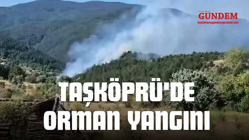 Taşköprü'de Orman Yangını