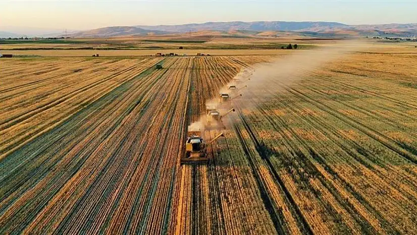Türkiye'nin Tarımsal Hasılası 68,5 Milyar Dolara Ulaştı