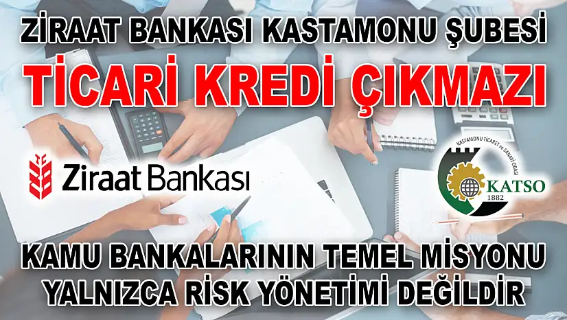Ziraat Bankası Kastamonu Şubesi Ticari Kredi Çıkmazı Kamu Bankalarının Temel Misyonu Yalnızca Risk Yönetimi Değildir