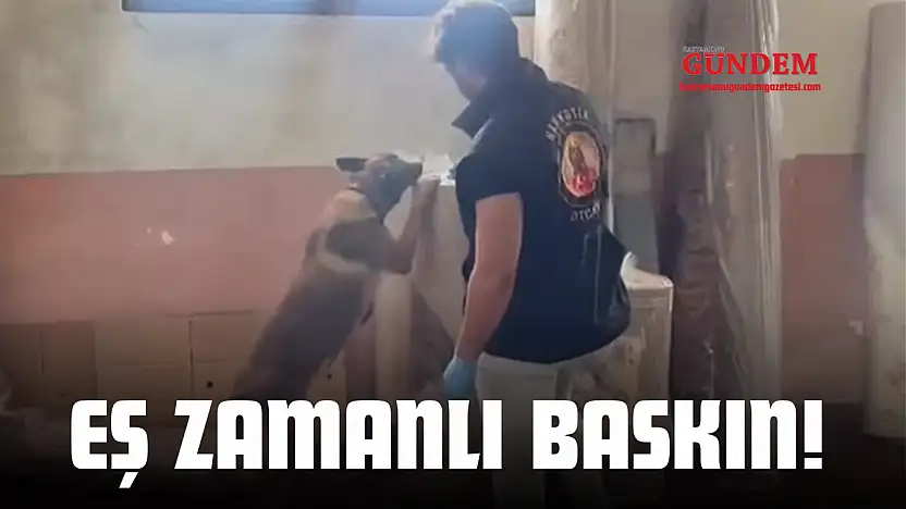 19 Adrese Eş Zamanlı Baskın!