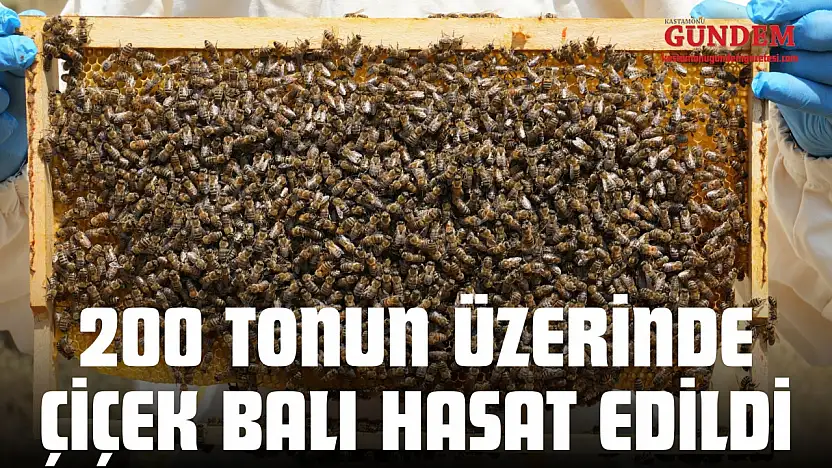200 Tonun Üzerinde Çiçek Balı Hasat Edildi