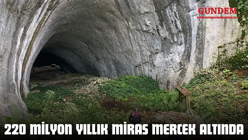 220 Milyon Yıllık Miras Mercek Altında