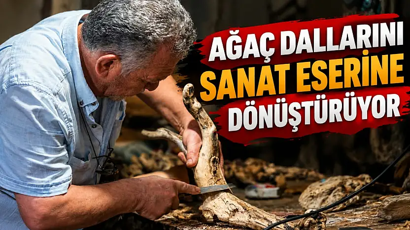 Ağaç Dallarını Sanat Eserine Dönüştürüyor