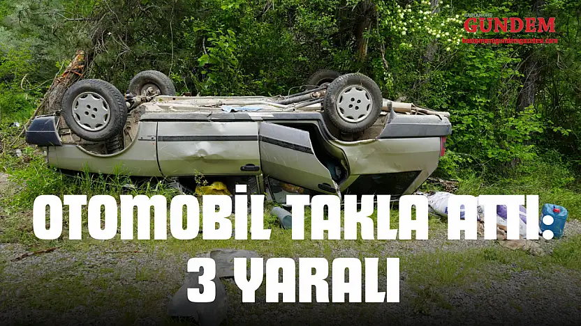 Ağaca Çarpan Otomobil Takla Attı: 3 Yaralı