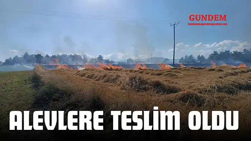 Alevlere Teslim Oldu