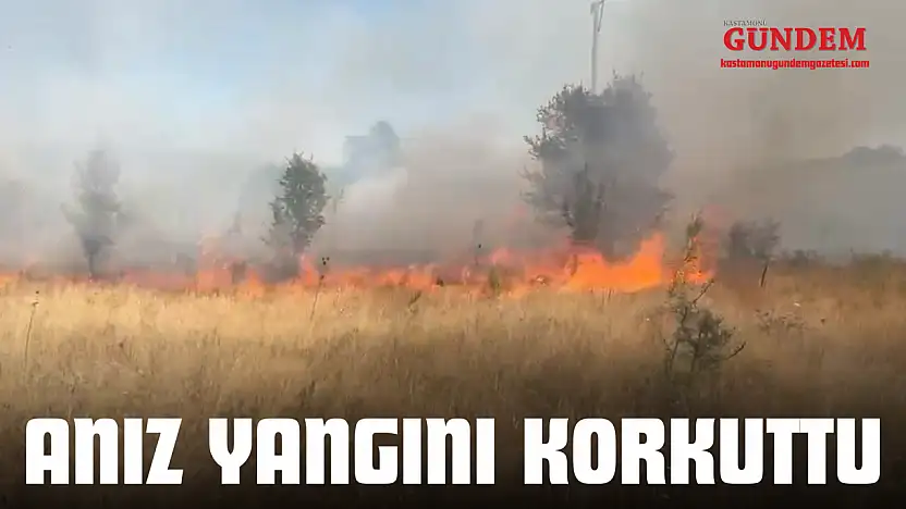 Anız Yangını Korkuttu
