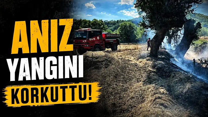 Anız Yangını Korkuttu!