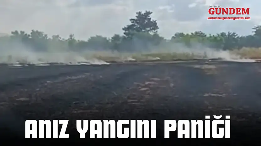 Anız Yangını Paniği