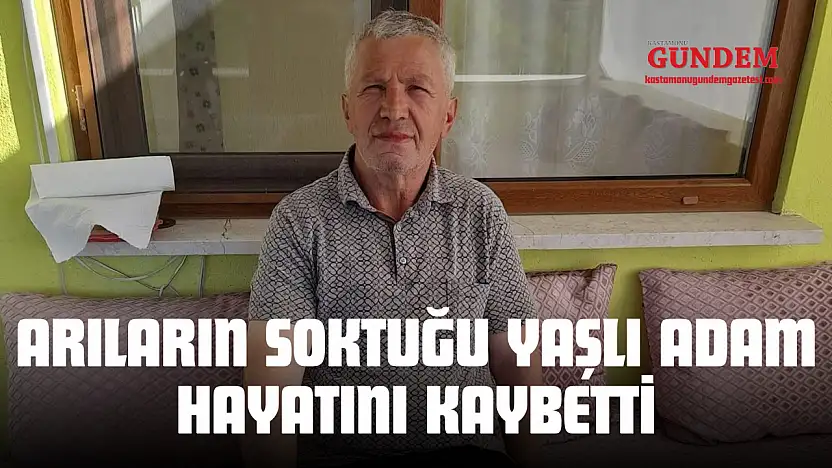 Arıların Soktuğu Yaşlı Adam Hayatını Kaybetti