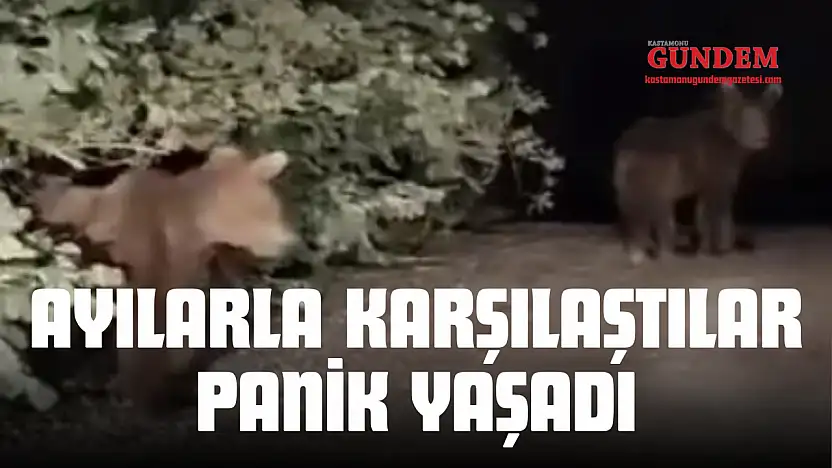 Ayılarla Karşılaşan Vatandaşlar Panik Yaşadı
