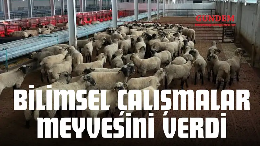 Bilimsel Çalışmalar Meyvesini Verdi
