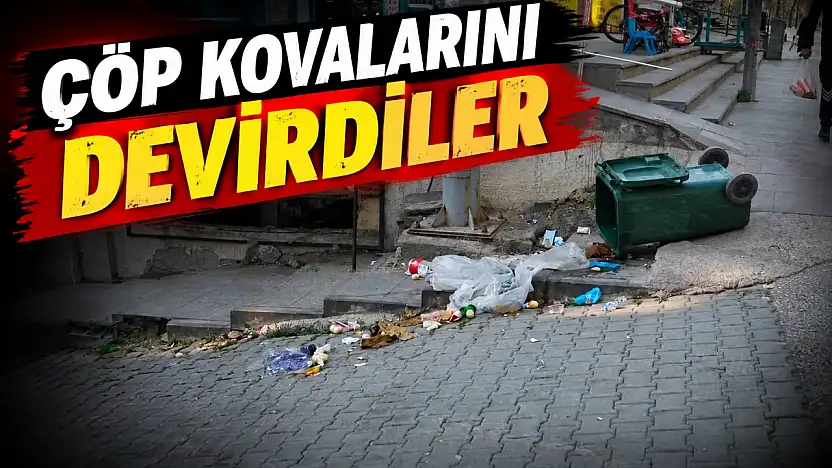 Çöp Kovalarını Devirdiler, Belediye Harekete Geçti!