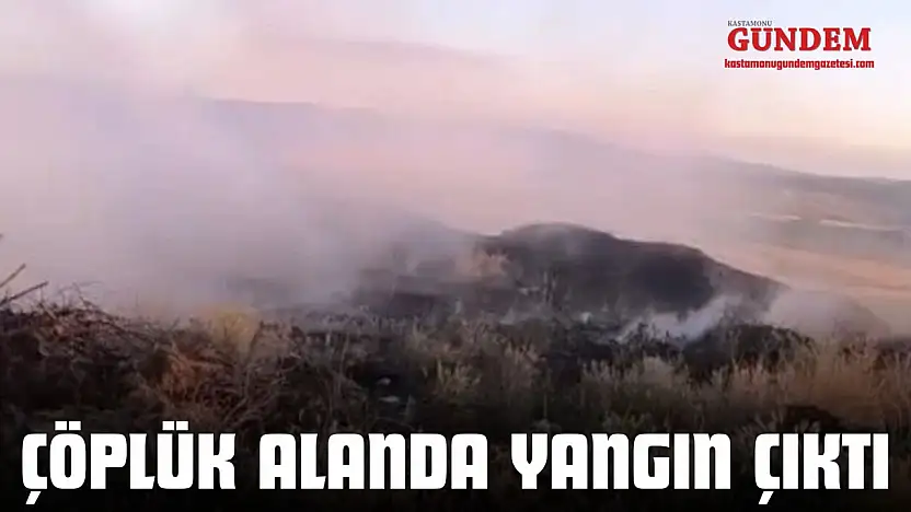 Çöplük Alanda Yangın Çıktı