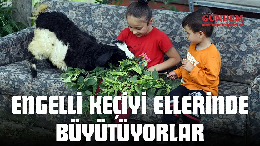 Engelli Keçiyi Ellerinde Büyütüyorlar