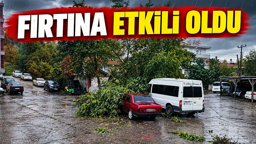 Fırtına Çatıları Uçurdu, Ağaçları Devirdi