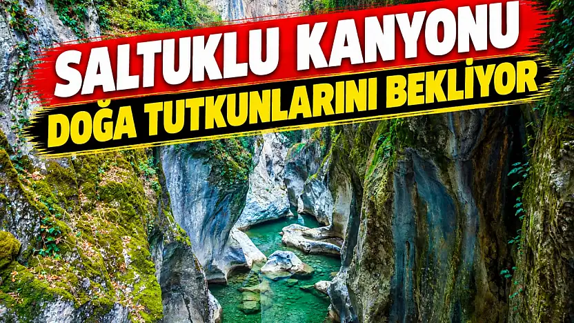 Güzelliğiyle Mest Ediyor