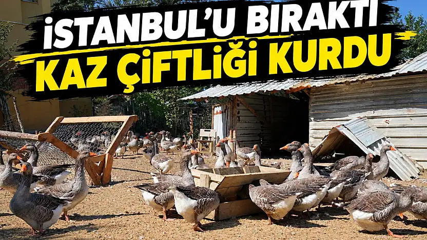 İstanbul'u Bıraktı, Kaz Çiftliği Kurdu!