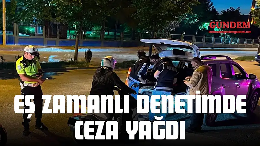 Kastamonu'da Eş Zamanlı Denetim: Ceza Yağdı