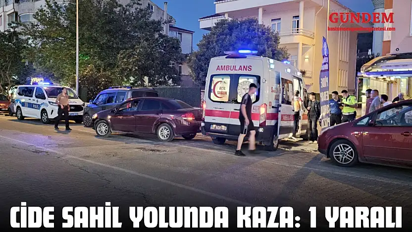 Cide Sahil Yolunda Kaza: 1 Yaralı
