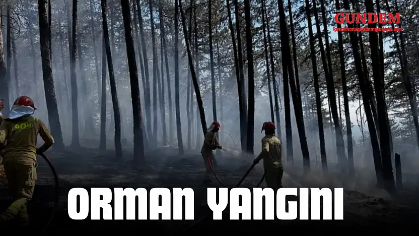 Kastamonu'da Orman Yangını