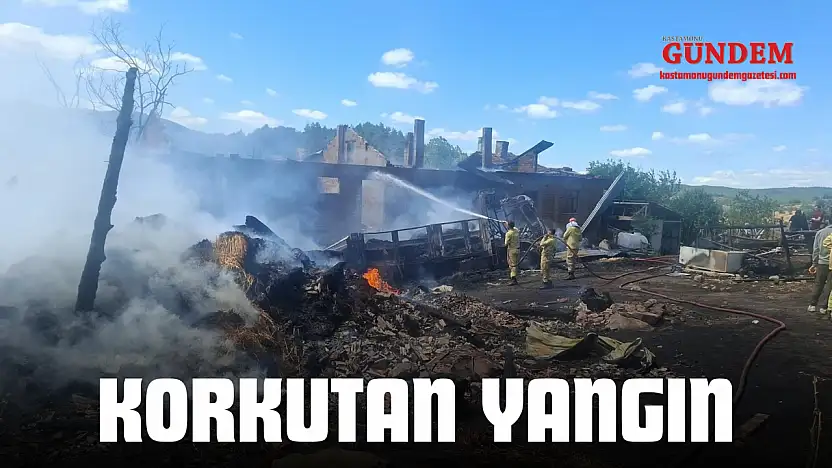Korkutan Yangın