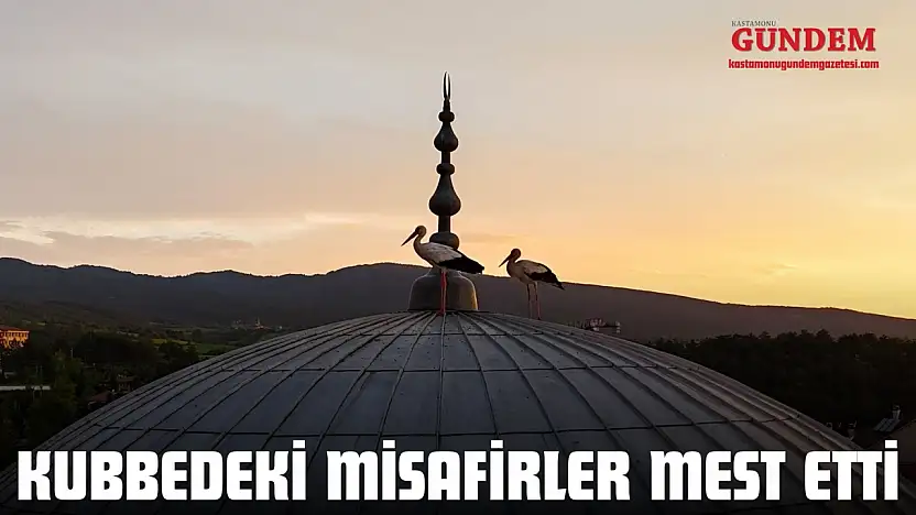 Kubbedeki Misafirler Mest Etti